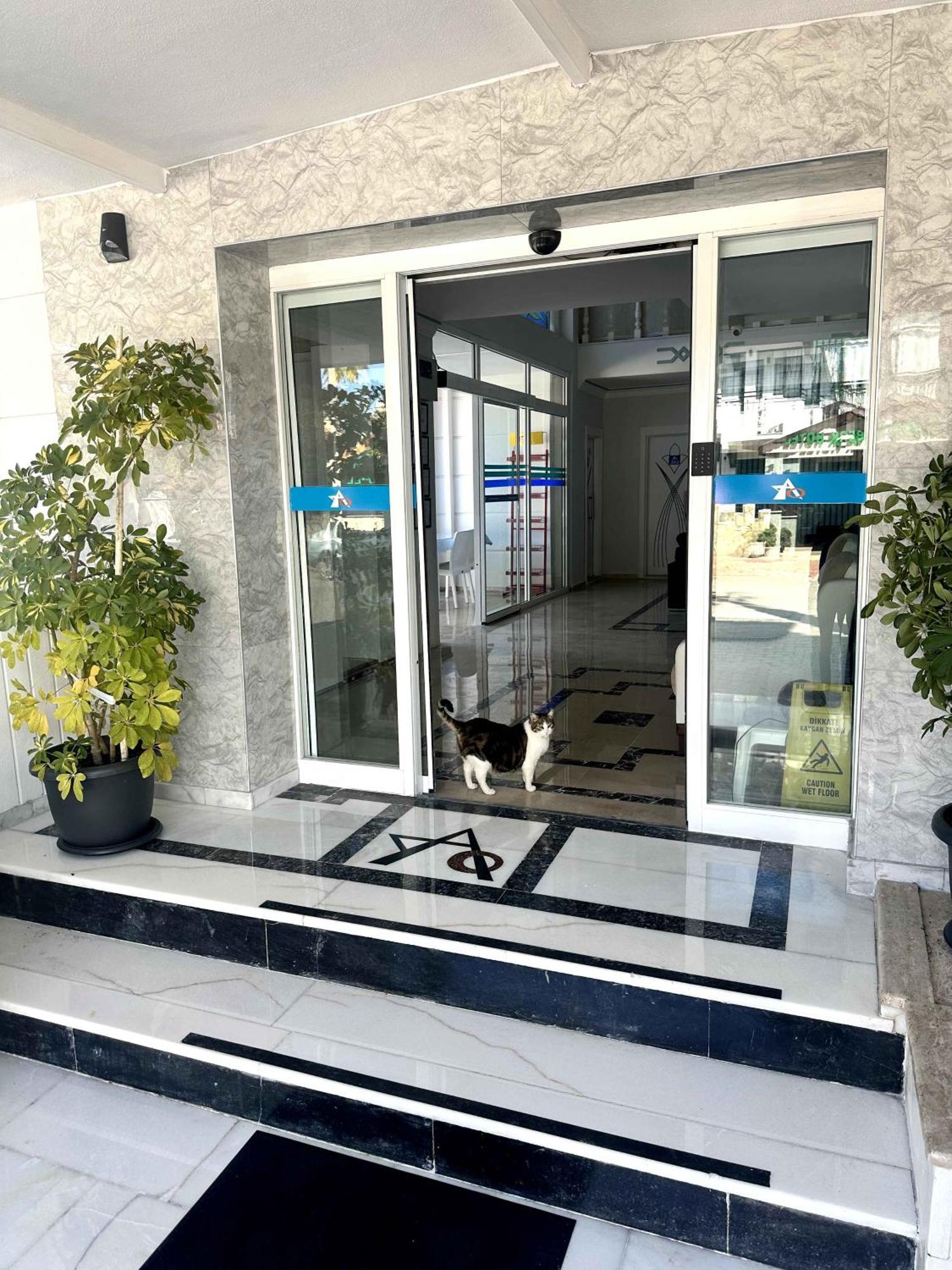 Amsterdam Boutique Hotel Kemer Ngoại thất bức ảnh